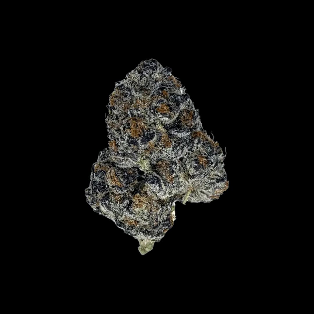 23% THCA Buds Purple Haze - THCA Buds